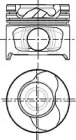 WILMINK GROUP wg1175188 -  Поршень